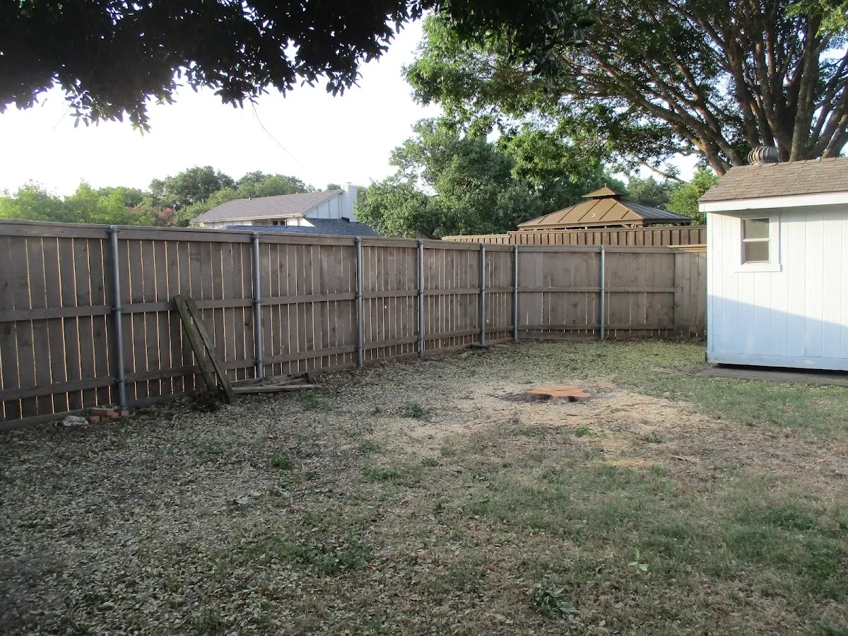 Cleared yard after professional tree removal in Driggs
